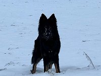 Onyx  Bes.: Karin Stadlin und Goofy Windler
